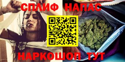 spice Новозыбков