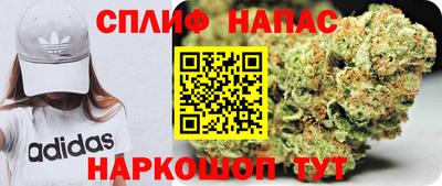 PSILOCYBIN Новокубанск