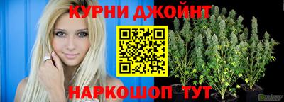 spice Новозыбков