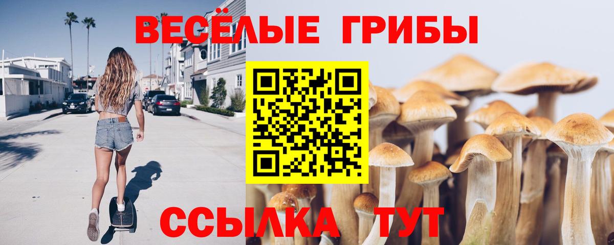 Рубцовск  Галлюциногенные грибы GOLDEN TEACHER  Вход с VPN  Псилоцибиновые грибы Magic Shrooms 
